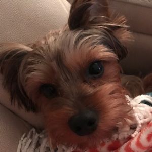 Meet your Posher, Katrina